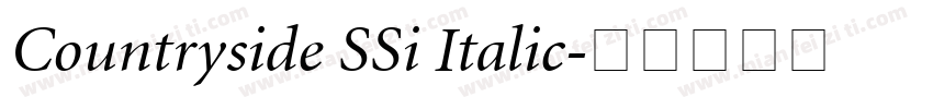 Countryside SSi Italic字体转换